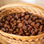 Castane Castane